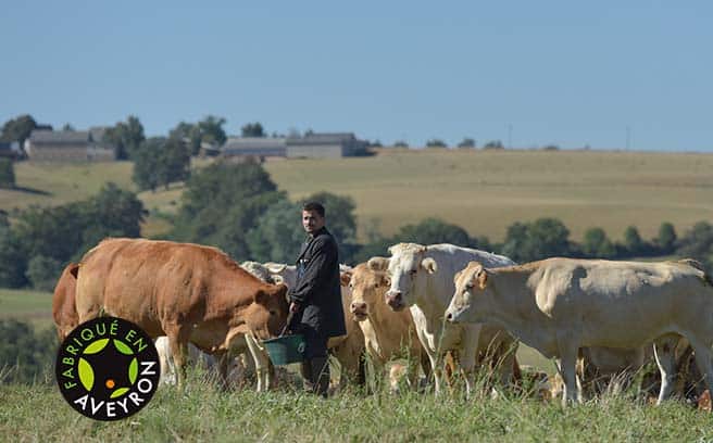 Graines de quinoa bio - Viande de boeuf charolais bio à la ferme